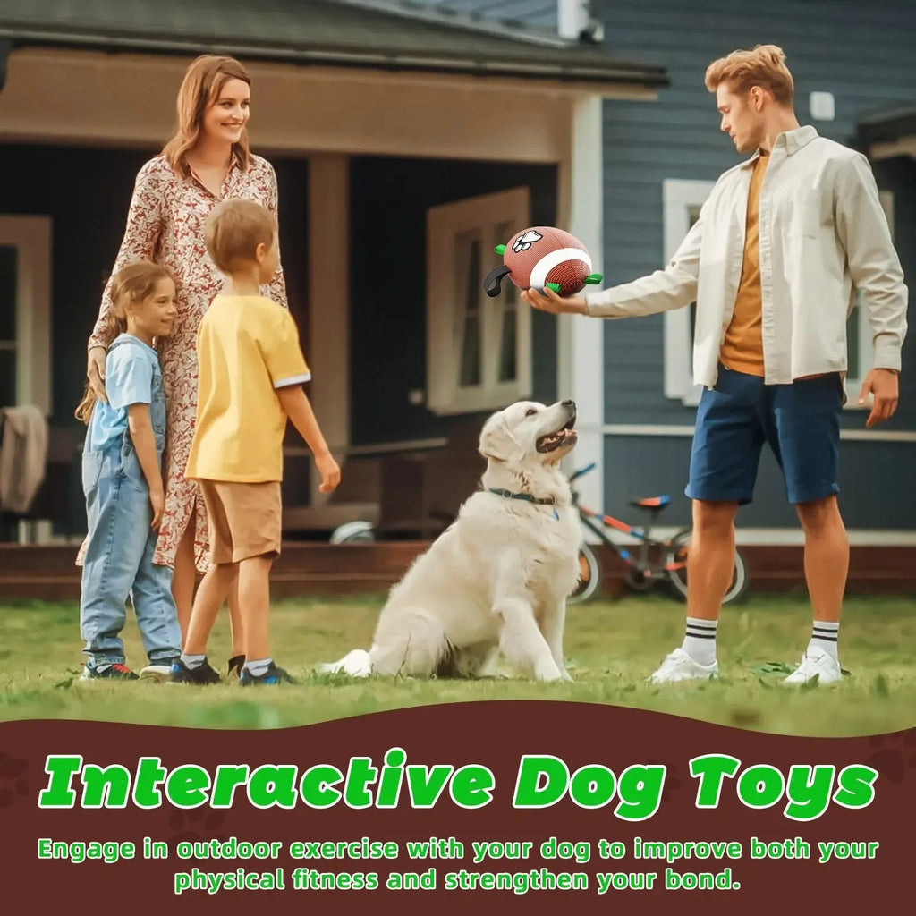 Durable Fetch & Training Ball for Dogs