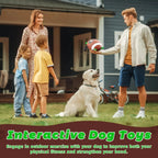 Durable Fetch & Training Ball for Dogs