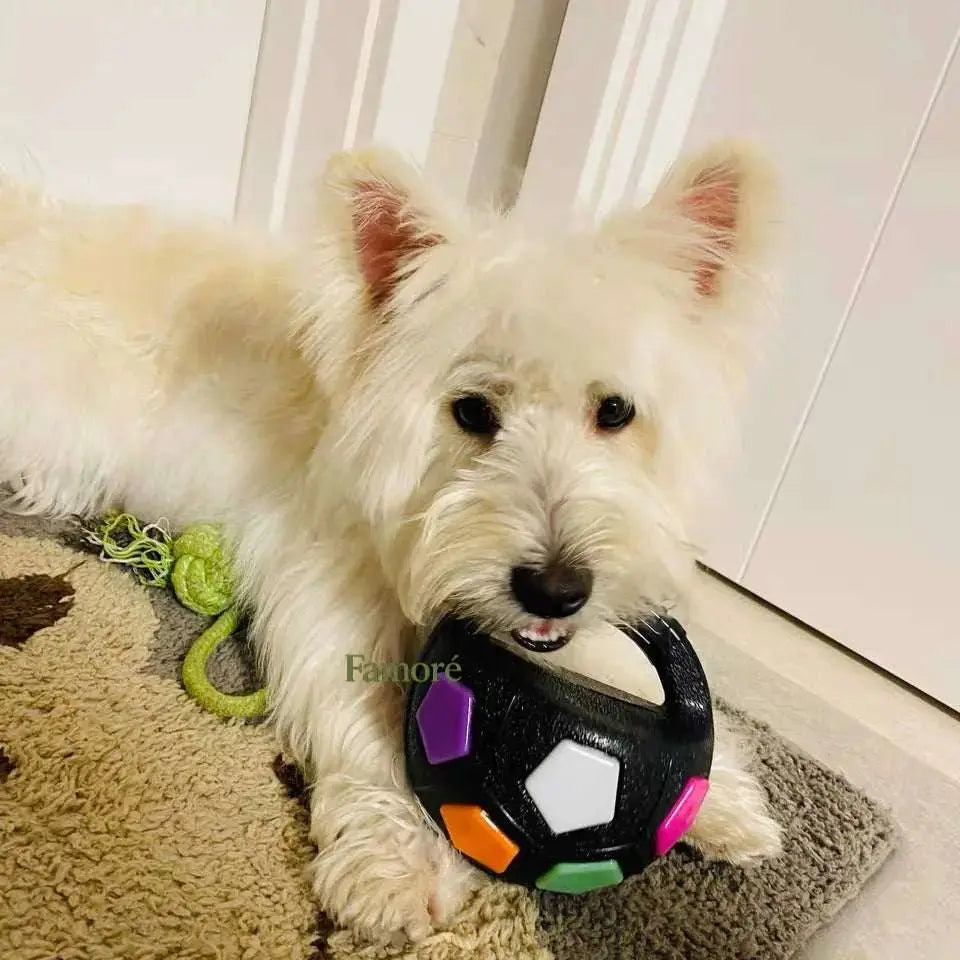Durable Dog Toy Ball – Stress Relief Chew & Play Toy Fursera