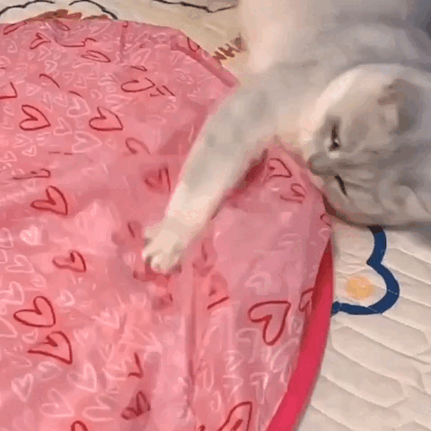 Interactive Cat Chase Toy – Engaging, Stimulating Play for Indoor Cats Fursera