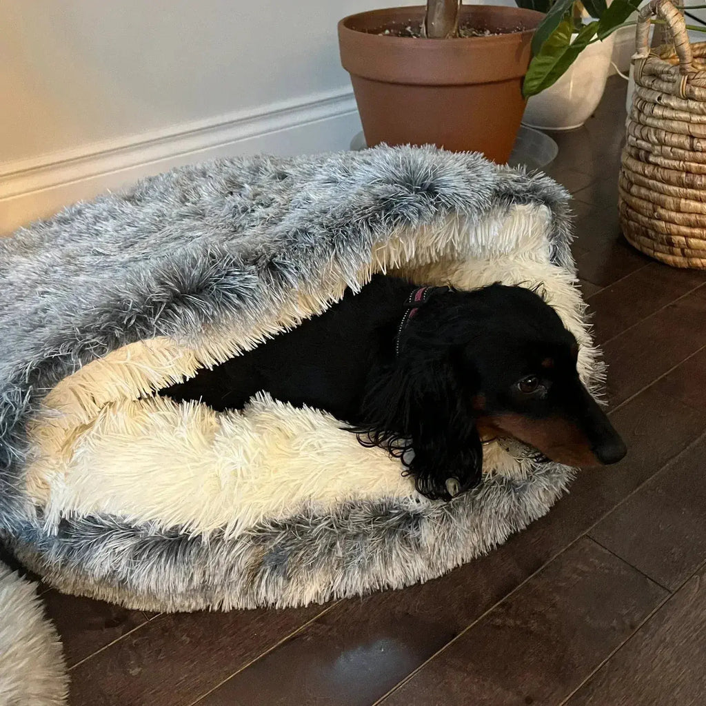 Calming Cowry Pet Bed – Cozy Anti-Anxiety Dog & Cat Bed Fursera