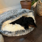 Calming Cowry Pet Bed – Cozy Anti-Anxiety Dog & Cat Bed Fursera