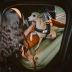 Dog Car Seat Bed – Faux Leather Booster for Medium & Large Dogs Fursera