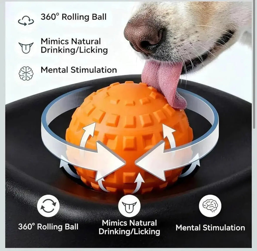 Slow Feeder Dog Bowl – No Spill & Non-Slip STTM