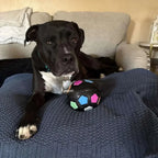 Durable Dog Toy Ball – Stress Relief Chew & Play Toy Fursera