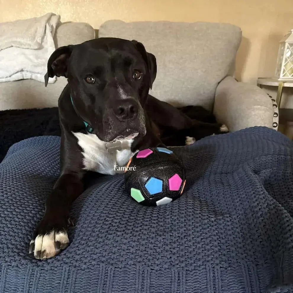 Durable Dog Toy Ball – Stress Relief Chew & Play Toy Fursera