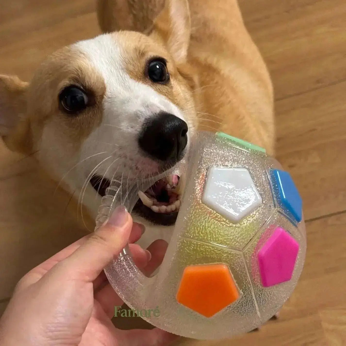 Durable Dog Toy Ball – Stress Relief Chew & Play Toy Fursera