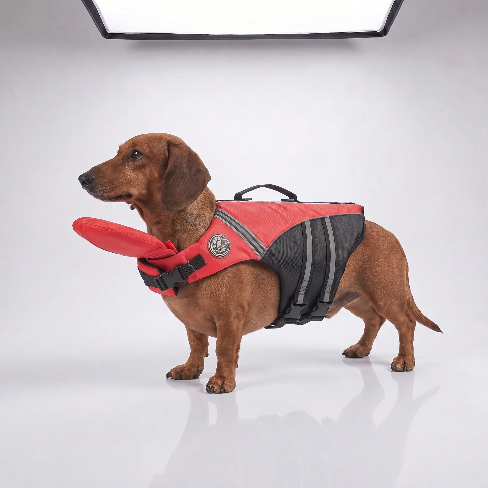 Dog Life Jacket with Head Support