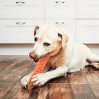 Interactive Carrot-Shaped Dog Toy with Tassel – Durable Linen Tug & Chew Toy