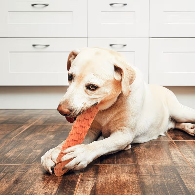Interactive Carrot-Shaped Dog Toy with Tassel – Durable Linen Tug & Chew Toy