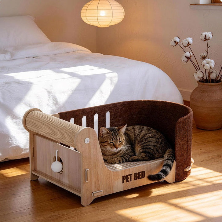 CAT SCRATCHING LOUNGE BED