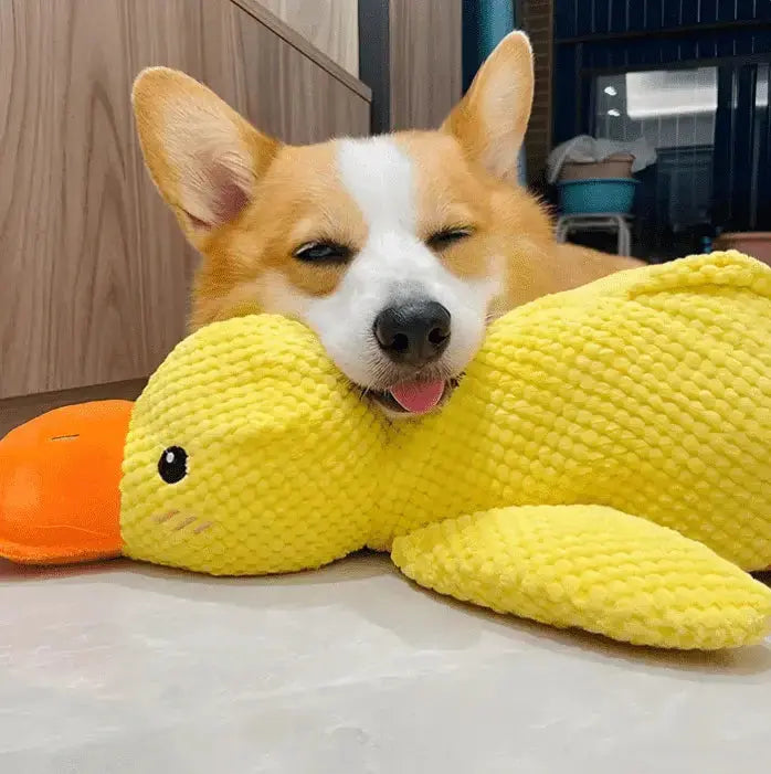Calming Duck Toy Fursera