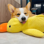 Squeaky Calming Duck Toy