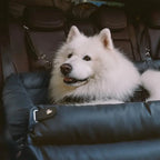 Dog Car Seat Bed – Faux Leather Booster for Medium & Large Dogs Fursera