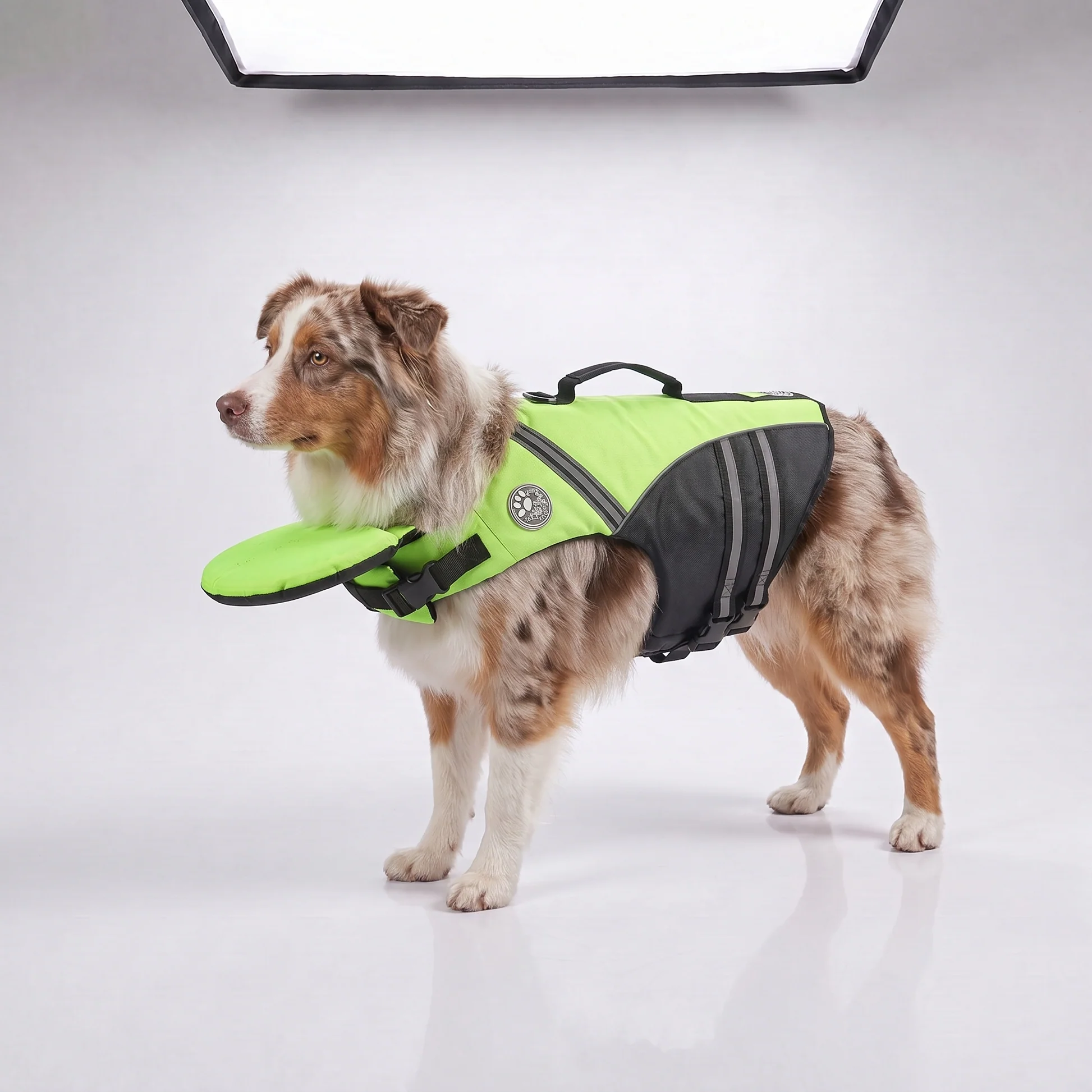 Dog Life Jacket with Head Support