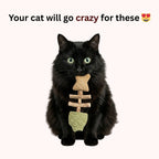 Fish Bone Cat Dental Chew Toy