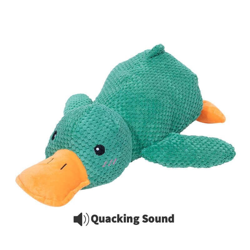 Squeaky Calming Duck Toy