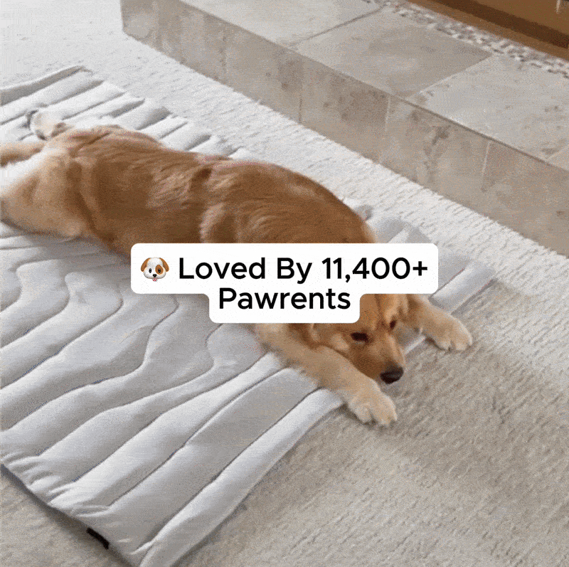 Dual-Side Cooling Dog Mat Fursera