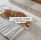 Dual-Side Cooling Dog Mat Fursera