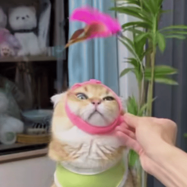 Hands-Free Collar Feather Cat Teaser