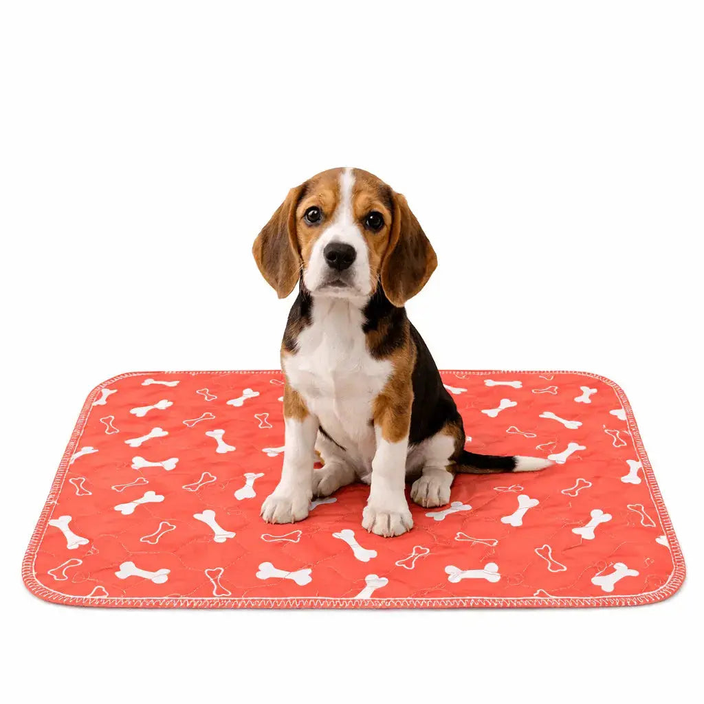 Washable Leak Guard Pee Pad Fursera