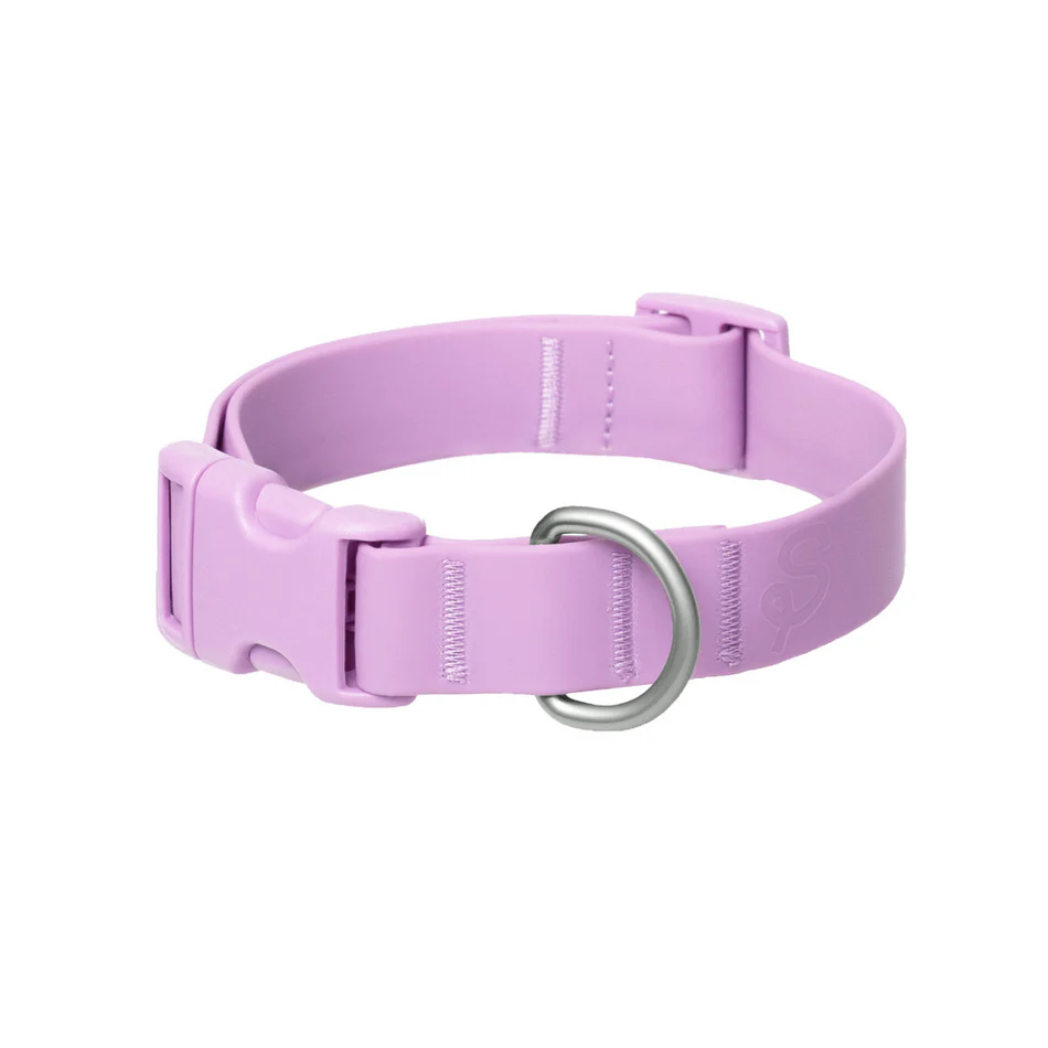 Waterproof Dog Collar with Custom Name Charms