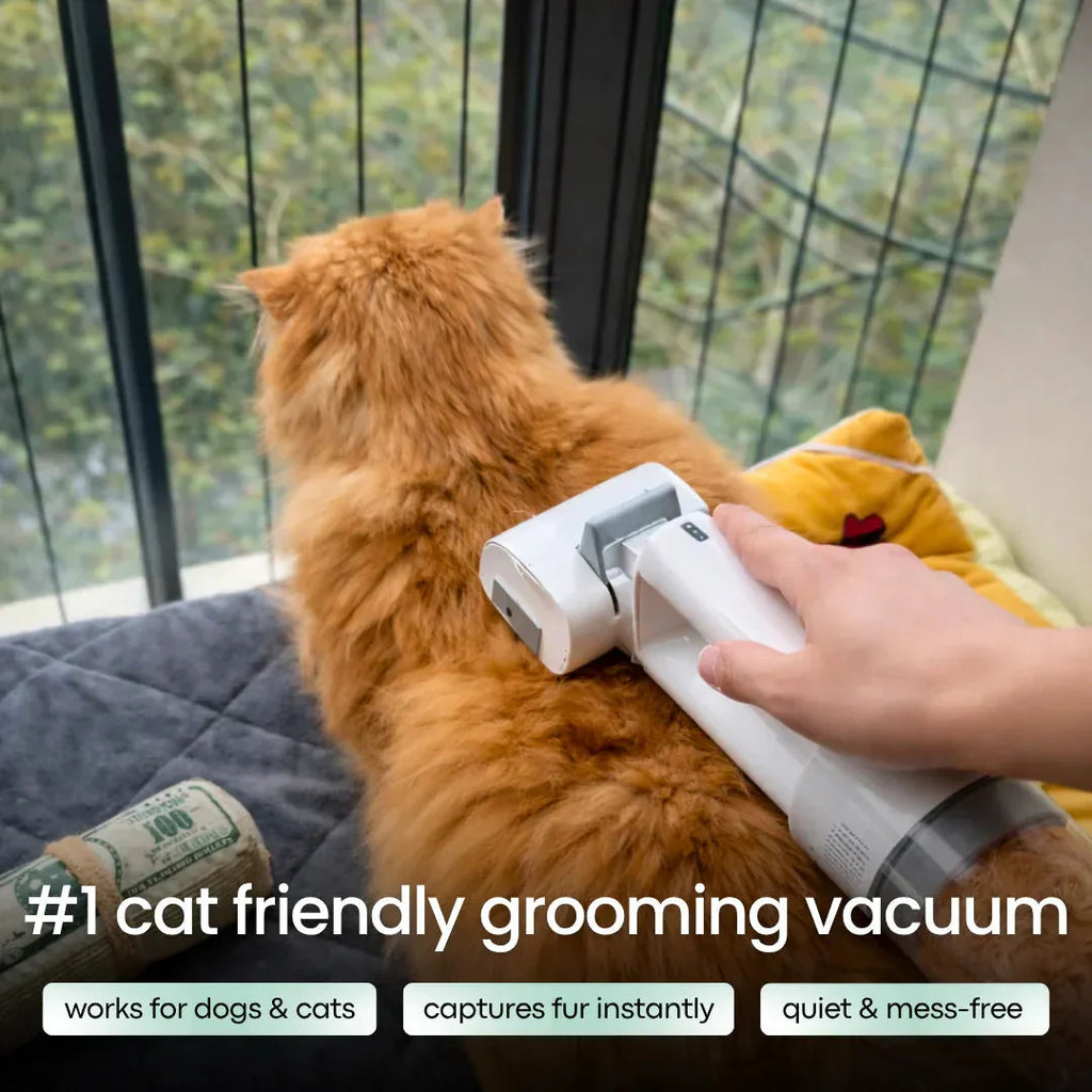 Pet Grooming Vacuum Brush