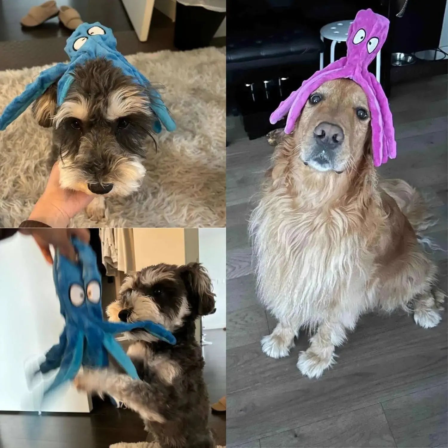 Squeaky Octopus Dog Toys Fursera