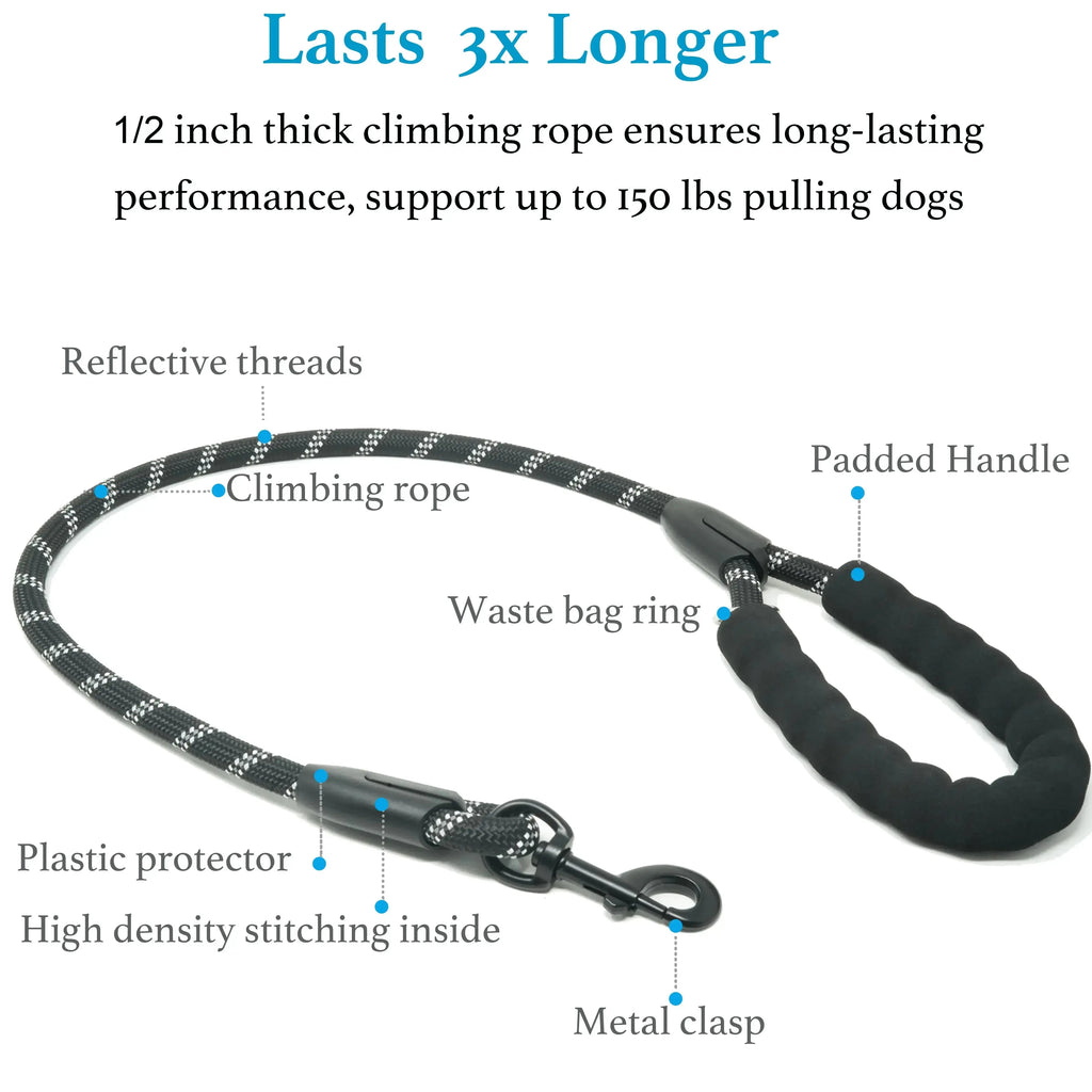 Dual Dog Leash – No-Tangle 360° Swivel Bungee Leash for Two Dogs Fursera