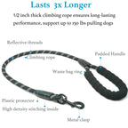 Dual Dog Leash – No-Tangle 360° Swivel Bungee Leash for Two Dogs Fursera