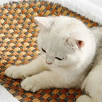 Scratch Lounge – Soft Plush Lounge Bed for Indoor Cats