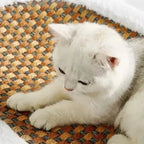 Scratch Lounge – Soft Plush Lounge Bed for Indoor Cats Fursera