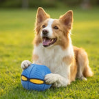 Interactive Frisbee Transforming Dog Toy Ball Fursera