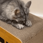 Wooden Cat Scratcher Bed for Indoor Cats