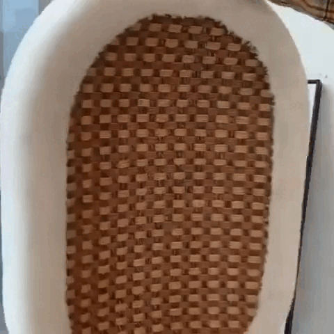Scratch Lounge – Soft Plush Lounge Bed for Indoor Cats Fursera