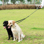 Dual Dog Leash – No-Tangle 360° Swivel Bungee Leash for Two Dogs Fursera