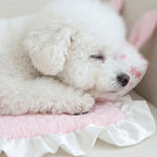 Cooling Rabbit Ear Pet Mat